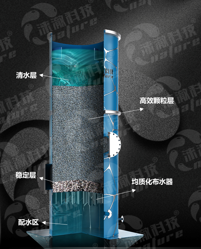 反硝化3.jpg